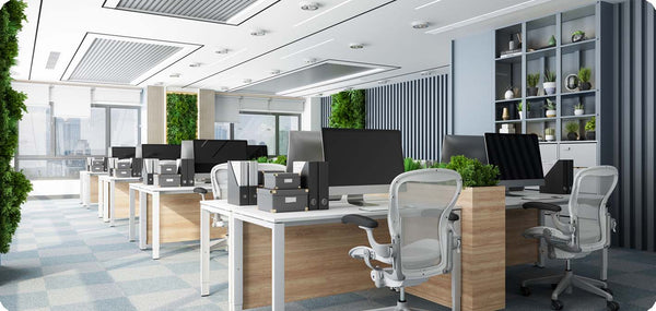 Ein Bürogarten für mehr Produktivität am Arbeitsplatz
