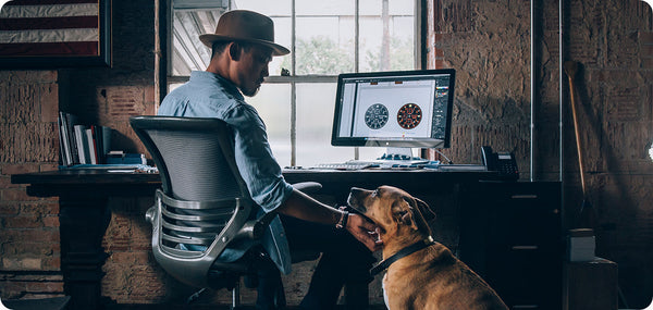 Hunde im Büro: Diese Aspekte sprechen für einen Vierbeiner im Arbeitsalltag